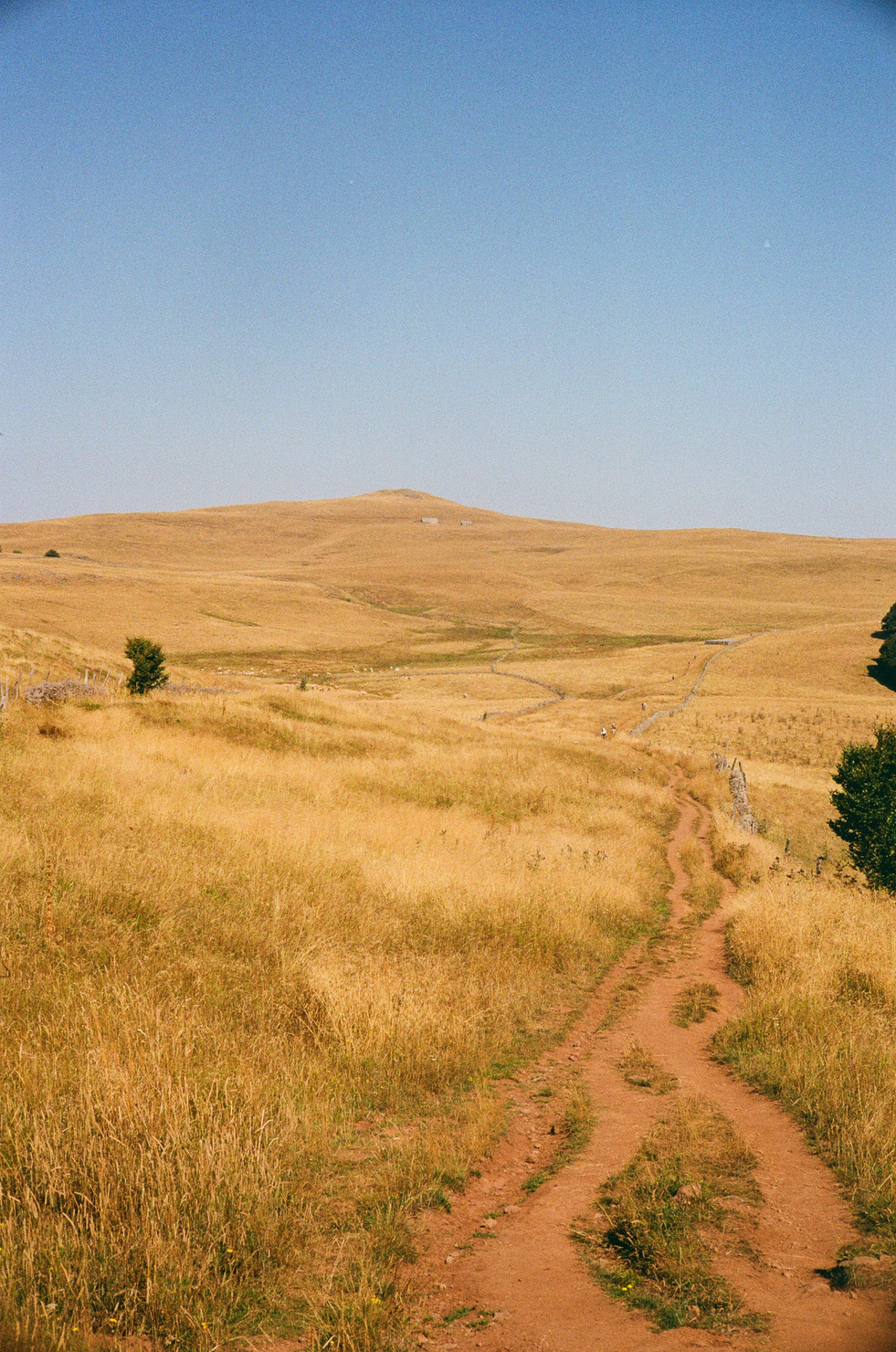 Plateau de l'Aubrac